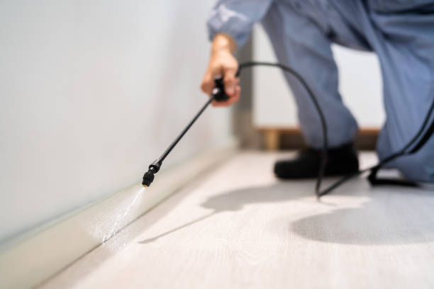 Licensed Termite Control service in Lewiston, ME - Nex Pest Control
