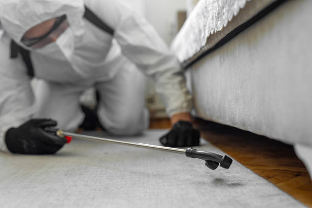 Professional Termite Control technician working in Lewiston, ME