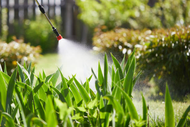 24/7 Emergency Termite Control experts in Lewiston, ME