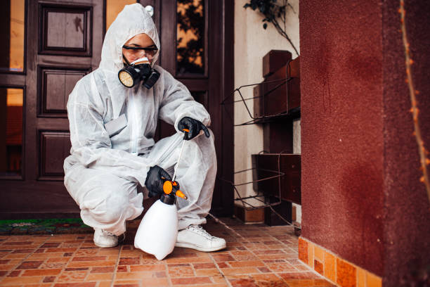 Reliable Termite Control contractor in Lewiston, ME by Nex Pest Control