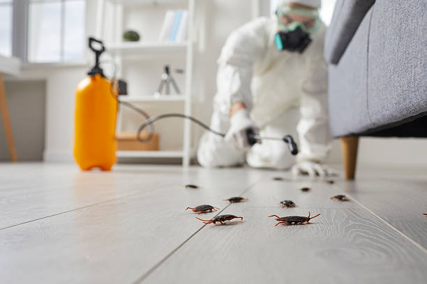 Trusted Bed Bug Control service in Lewiston, ME - Nex Pest Control