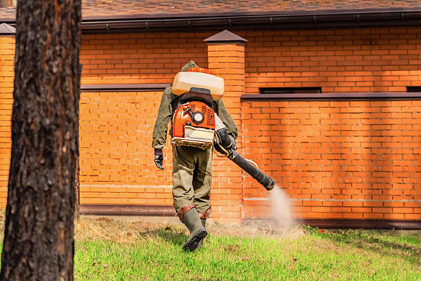 Trusted Emergency Pest Control service in Lewiston, ME - Nex Pest Control